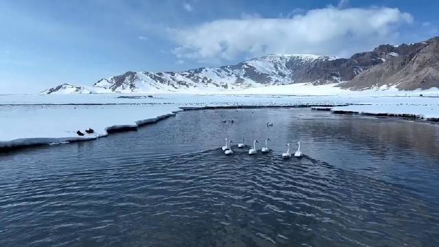 浦东微博客户端浦东发布微博微博